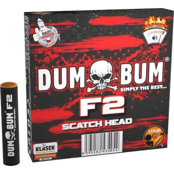 Z770016 DumBum F2 (draska), PS05D