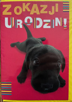 Zabawna Kartka Okolicznościowa 